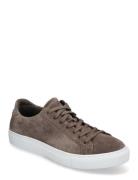 Type - Elephant Suede Low-top Sneakers Brown Garment Project