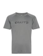 Core Essence Logo Tee M Sport T-Kortærmet Skjorte Grey Craft