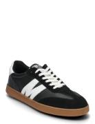 Caelum Sneaker Low-top Sneakers Black Steve Madden