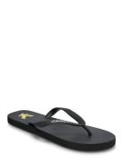 Flip Flop Klipklapper Sandaler Black Lyle & Scott