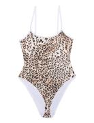 Gzlelou Swimsuit Badedragt Badetøj Brown Gestuz