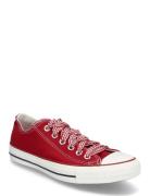 Ctas Ox Days Ahead/White/Horizon Pink Sport Sneakers Low-top Sneakers Red Converse