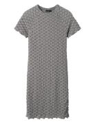 Nlfralma Ss Short Lace Dress Dresses & Skirts Dresses Casual Dresses Short-sleeved Casual Dresses Grey LMTD
