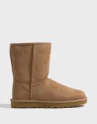 UGG - Brun - W Classic Short II