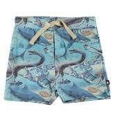 Molo Shorts - Simroy - Ancient Ocean