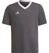 adidas Performance T-Shirt - ENT22 JSYY - GrÃ¥/Hvid