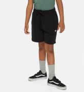 Dickies Sweatshorts - Youth Mapleton - Knit Black