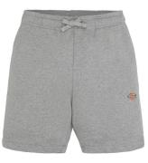 Dickies Sweatshorts - Youth Mapleton - Heather Gray