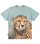 Molo T-shirt - Rubin - Big Cheetah Blue