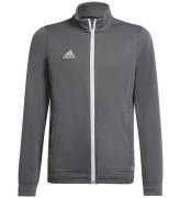 adidas Performance Cardigan - ENT22 TK JKTY - TEGRFO