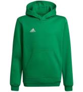 adidas Performance Hættetrøje - Ent22 Hoody Y - Teagrn/White