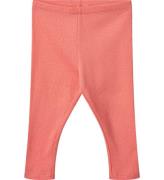 Wheat Leggings - Rib - Maddy - Light Coral