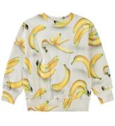 Molo Sweatshirt - Mattis - Bananas