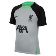 Liverpool Trænings T-Shirt Dri-FIT Strike - Grå/Grøn/Sort Børn