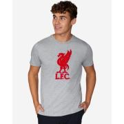 Liverpool T-Shirt Liverbird - Grå